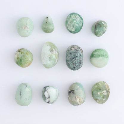 Chrysoprase Tumbles 1 kg Set - Expert Wholesale and Supplier of Wholesale Crystals & Bulk Gemstones, ["Chrysoprase","Indonesia","tumbles"]