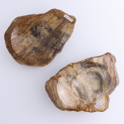 Petrified Wood Bowls Set of 2 - Expert Wholesale and Supplier of Wholesale Crystals & Bulk Gemstones, ["Bowls","Indonesia","Petrified Wood"]
