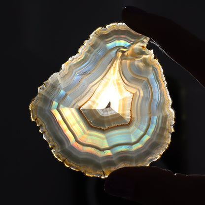 Iris Agate Slices Set of 6 - Expert Wholesale and Supplier of Wholesale Crystals & Bulk Gemstones, ["Agate","Iris Agate","Slices and Slabs"]
