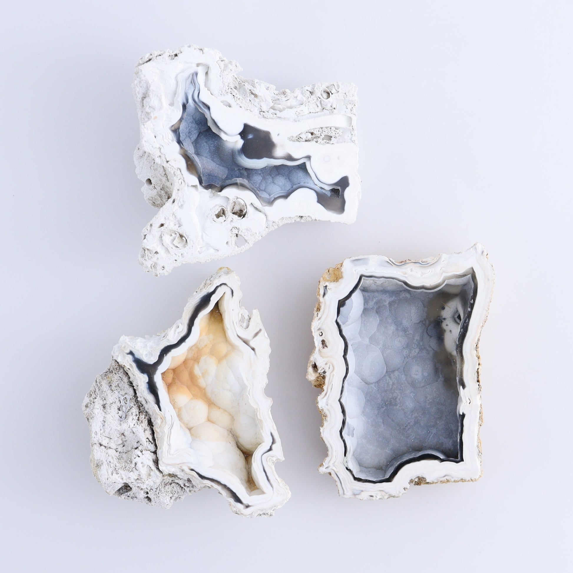 Agatized Coral Flat - Expert Wholesale and Supplier of Wholesale Crystals & Bulk Gemstones, ["Agate","Agatized Coral","Coral","United States"]