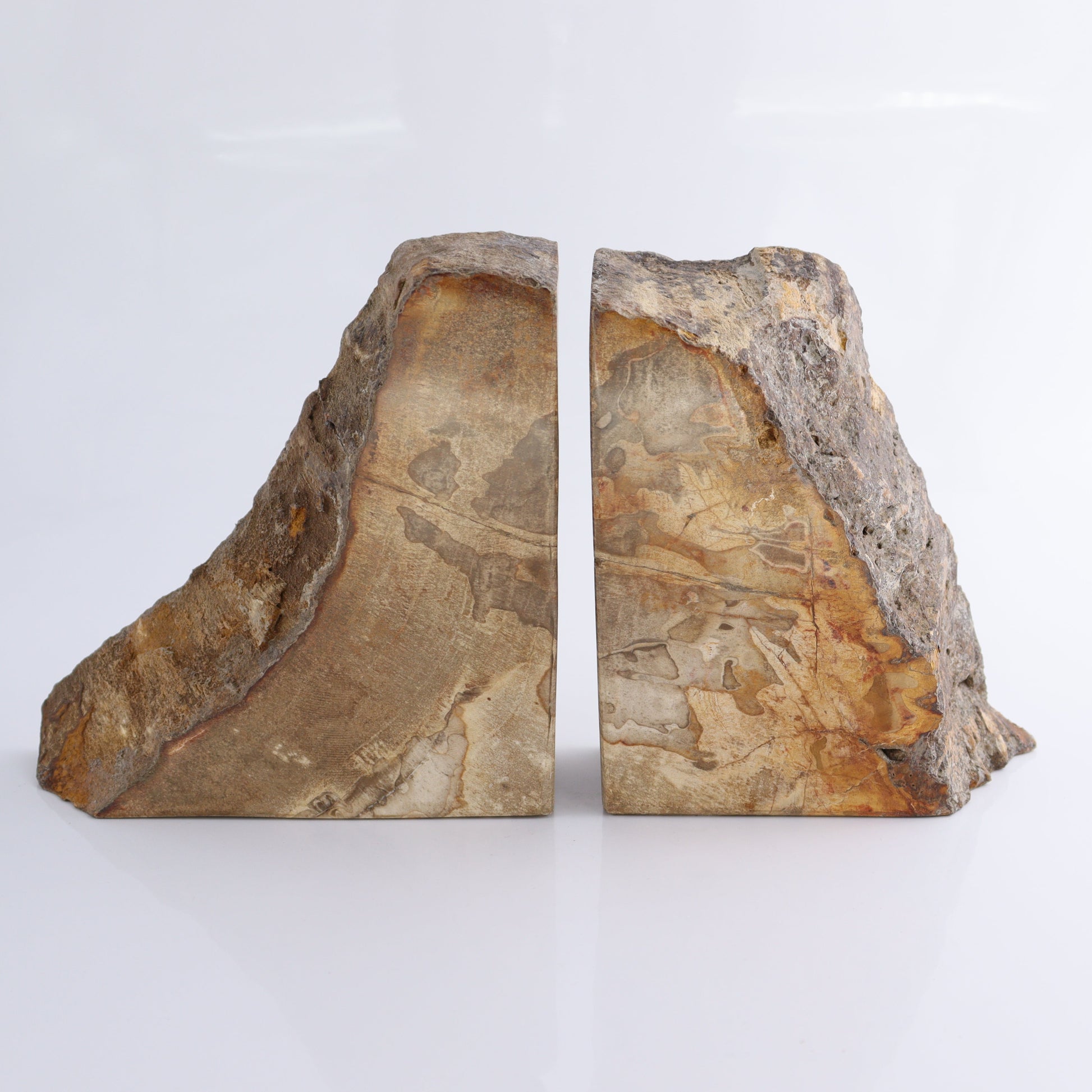 Bookends Petrified Wood - Expert Wholesale and Supplier of Wholesale Crystals & Bulk Gemstones, ["Bookends","Indonesia","Petrified Wood"]