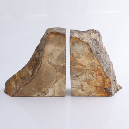 Bookends Petrified Wood - Expert Wholesale and Supplier of Wholesale Crystals & Bulk Gemstones, ["Bookends","Indonesia","Petrified Wood"]