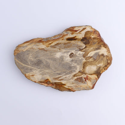 Petrified Wood Slices & Slabs Set of 4 - Expert Wholesale and Supplier of Wholesale Crystals & Bulk Gemstones, ["Freeforms","Indonesia","Petrified Wood","Slices and Slabs"]