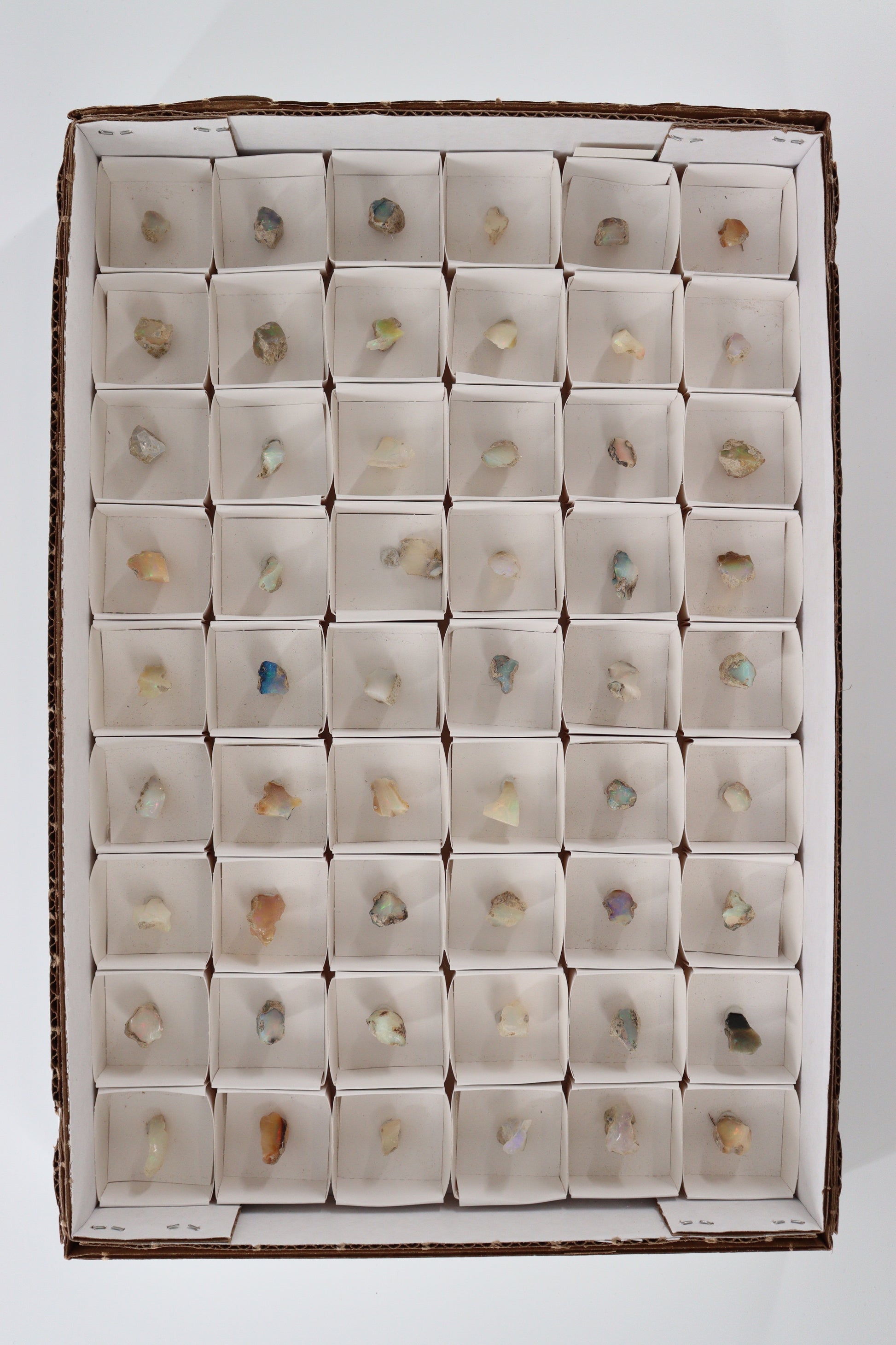 Ethiopian Opal Flat - Expert Wholesale and Supplier of Wholesale Crystals & Bulk Gemstones, []
