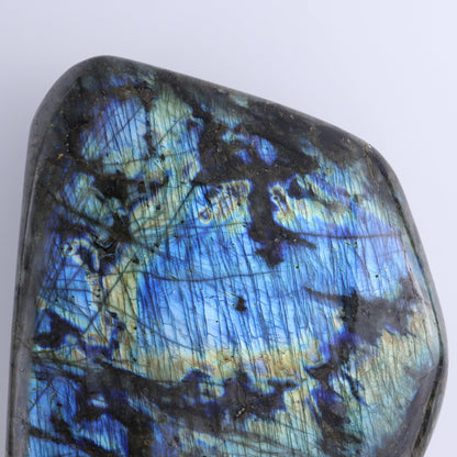 Labradorite Freeform - Expert Wholesale and Supplier of Wholesale Crystals & Bulk Gemstones, ["close_70","Freeforms","Labradorite","Madagascar"]