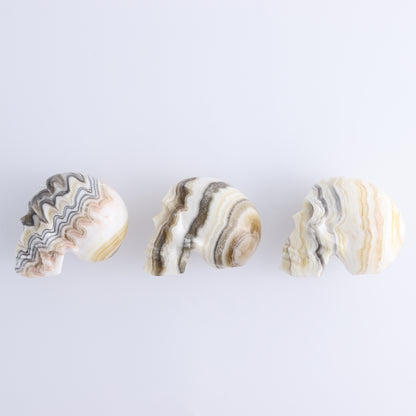 Onyx Skulls Set of 3 - Expert Wholesale and Supplier of Wholesale Crystals & Bulk Gemstones, ["Mexico","onyx","Skulls"]