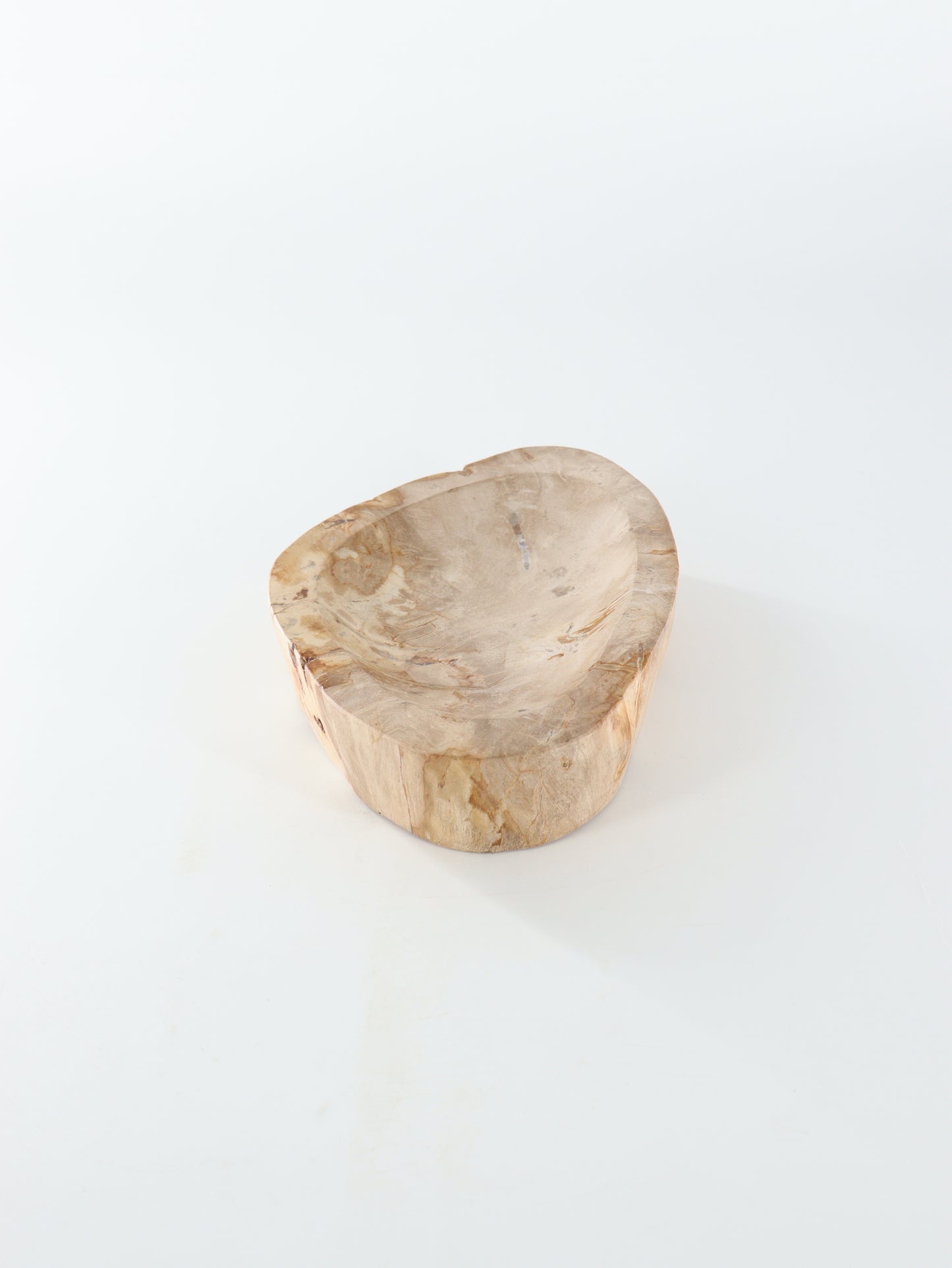 Petrified Wood Bowl - Expert Wholesale and Supplier of Wholesale Crystals & Bulk Gemstones, []