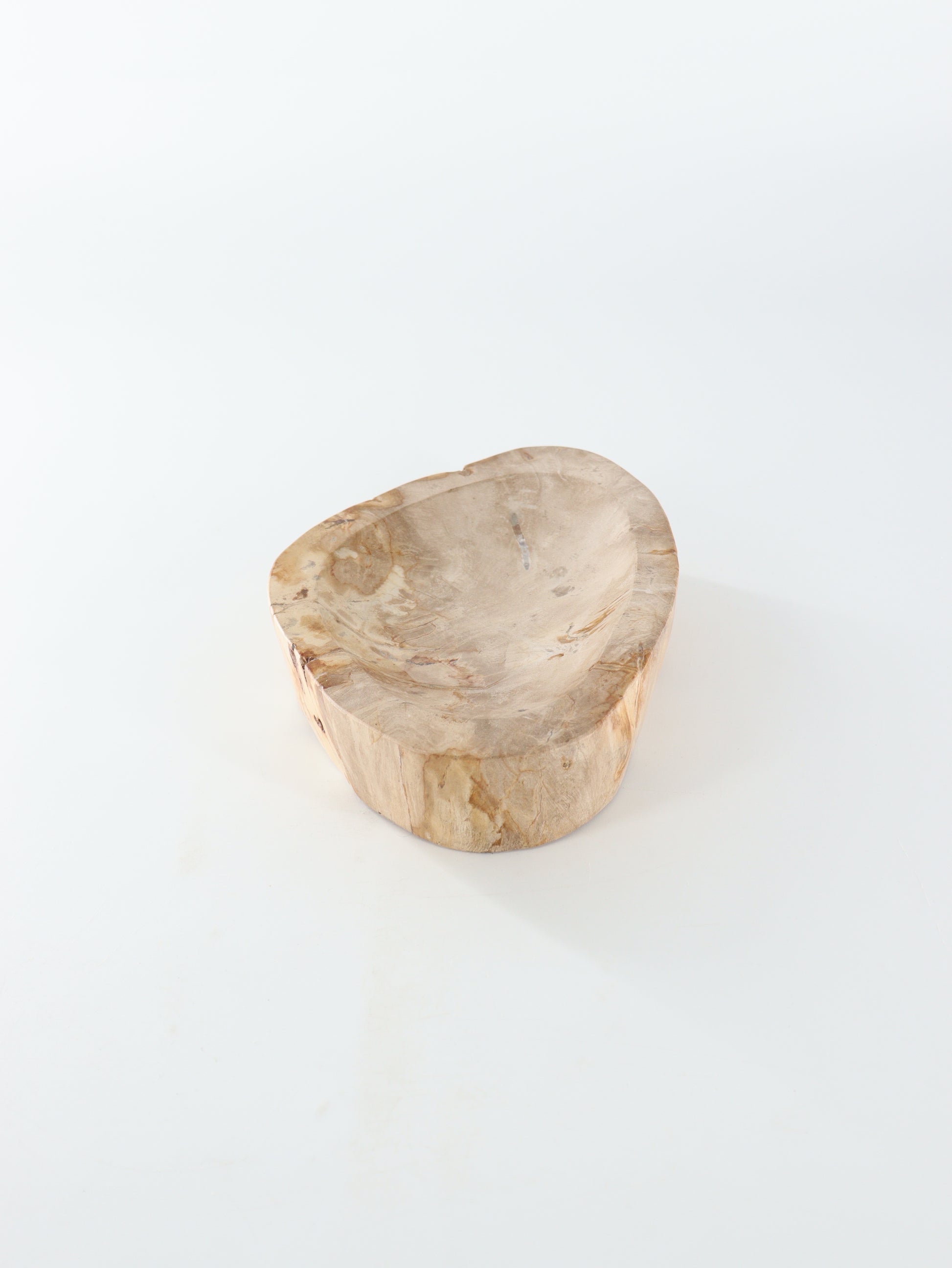 Petrified Wood Bowl - Expert Wholesale and Supplier of Wholesale Crystals & Bulk Gemstones, []