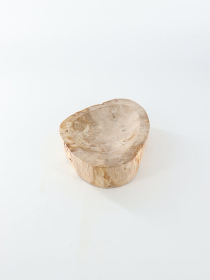 Petrified Wood Bowl - Expert Wholesale and Supplier of Wholesale Crystals & Bulk Gemstones, []