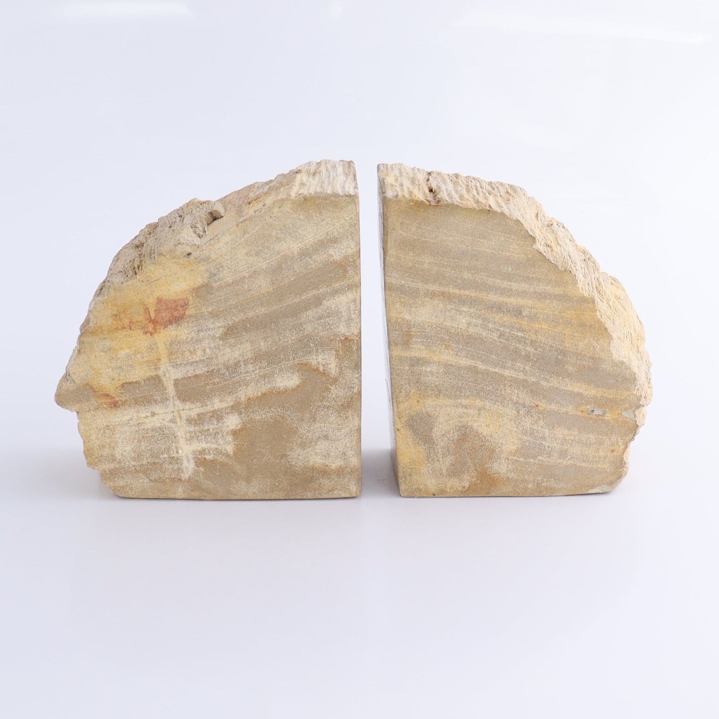 One Pair of Brown/Grey Round Petrified Wood Bookends - Expert Wholesale and Supplier of Wholesale Crystals & Bulk Gemstones, ["Bookends","Indonesia","Petrified Wood"]