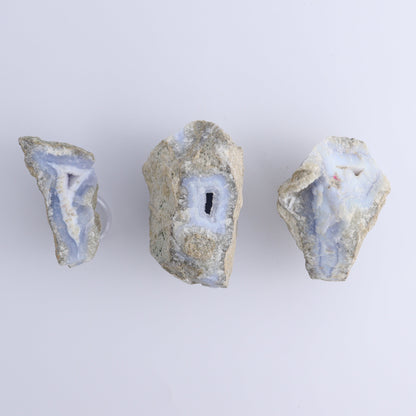 Blue Lace Agate Freeforms Set of 12