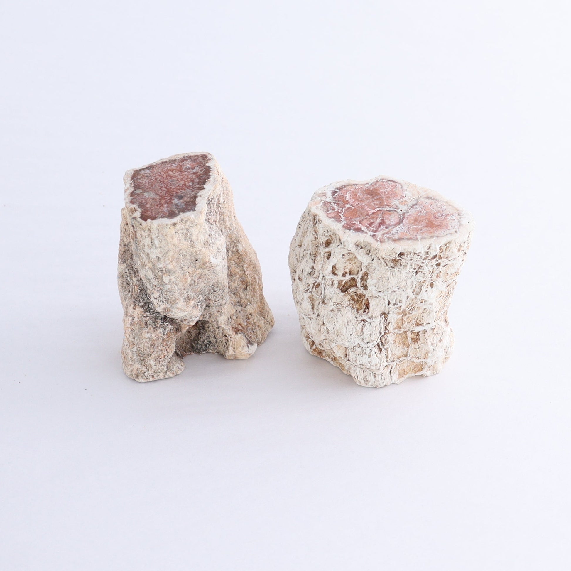 Petrified Wood Cut Bases Set of 10 - Expert Wholesale and Supplier of Wholesale Crystals & Bulk Gemstones, ["Cut Base","Petrified Wood"]