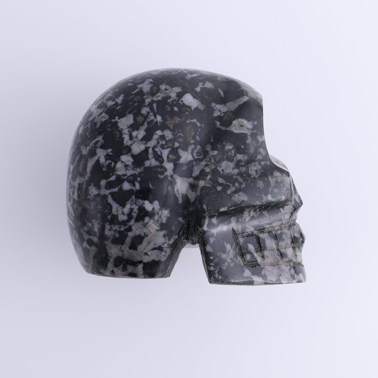 Indigo Gabbro Skull - Expert Wholesale and Supplier of Wholesale Crystals & Bulk Gemstones, ["Indigo Gabbro","Madagascar","Skulls"]