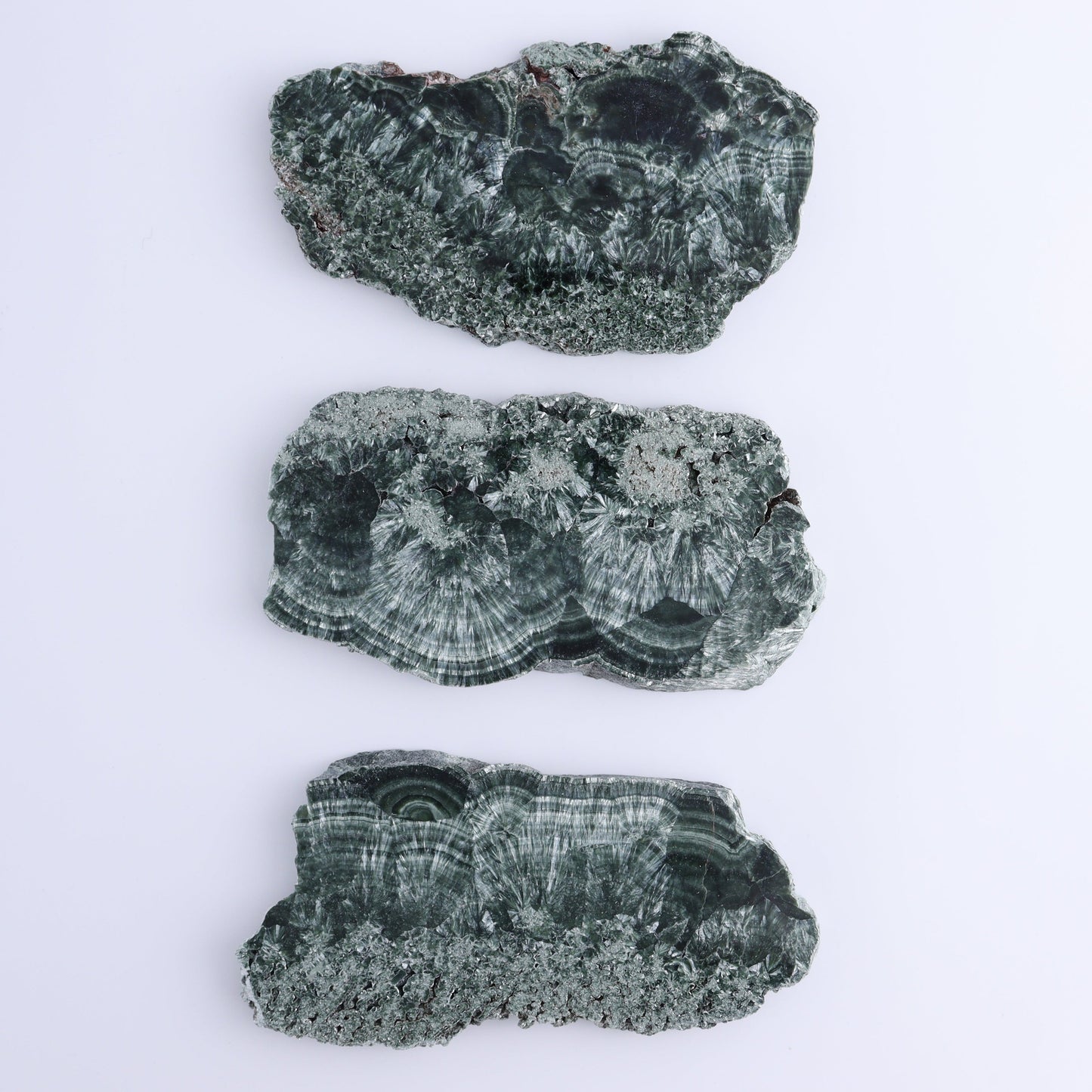 Seraphinite Slices Set of 3 - Expert Wholesale and Supplier of Wholesale Crystals & Bulk Gemstones, ["Russia","Seraphinite","Slices and Slabs"]