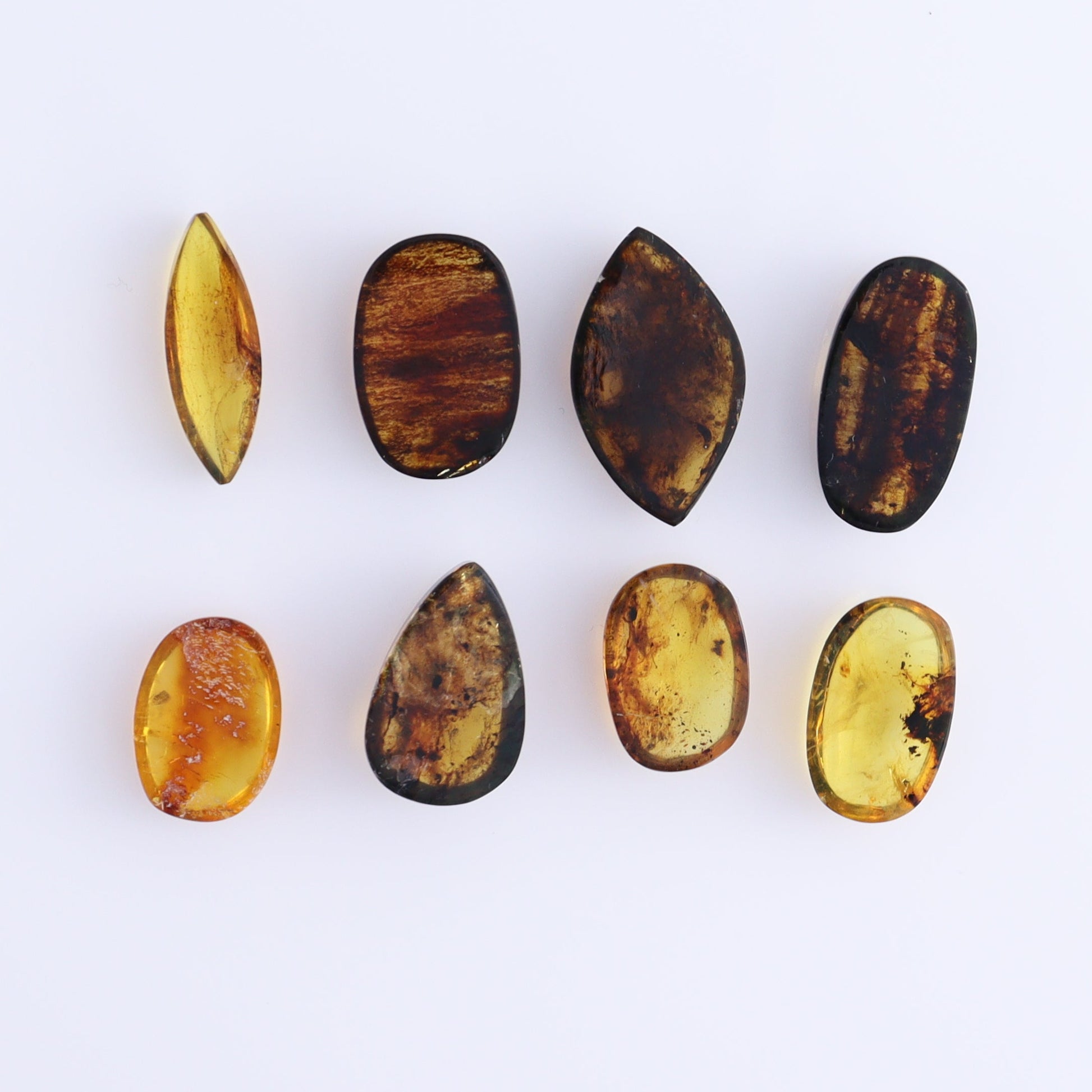 Chiapas Mexico Amber Cabs Set of 8 - Expert Wholesale and Supplier of Wholesale Crystals & Bulk Gemstones, ["Amber","Cabs","Chiapas Amber","Mexico"]