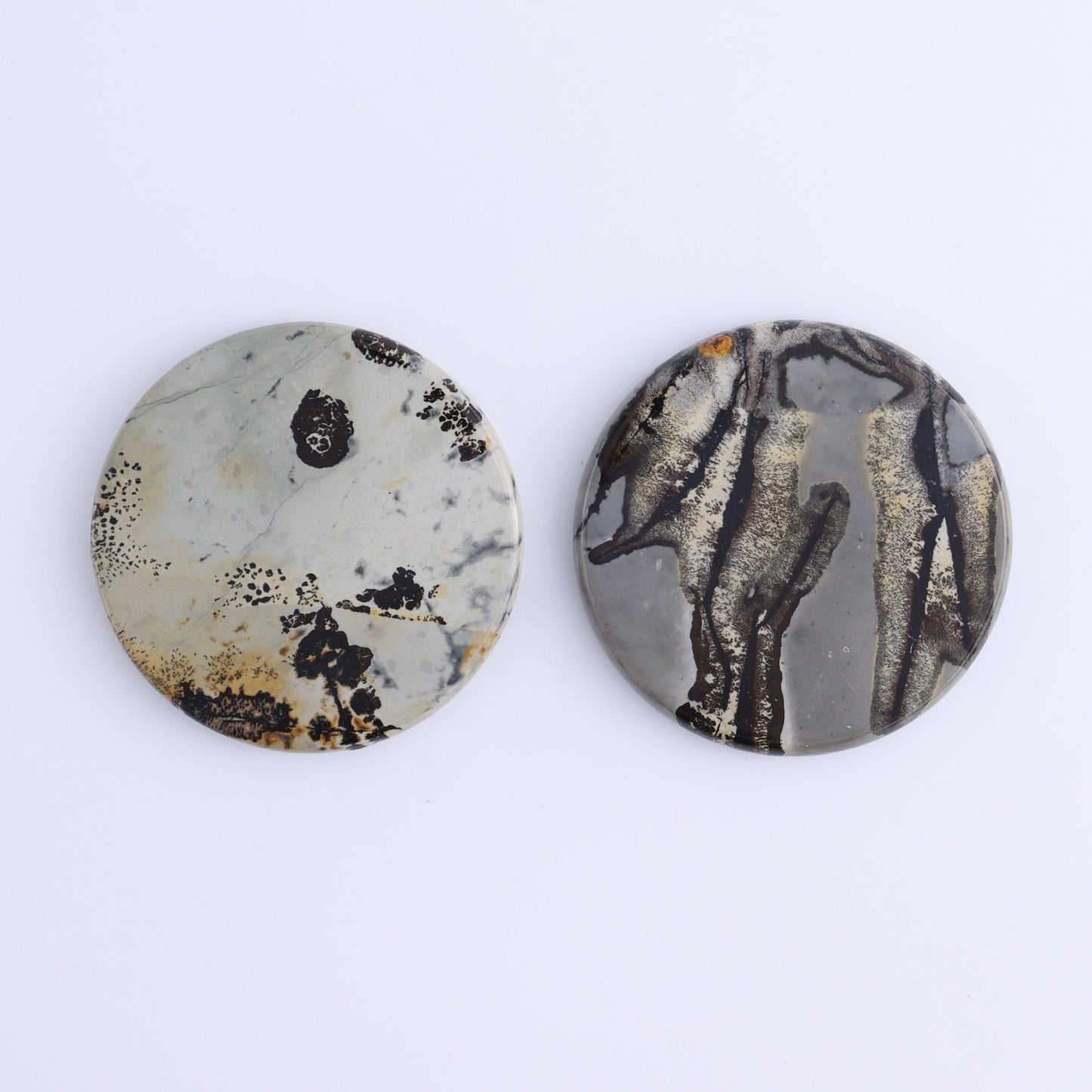 Picture Jasper Discs Set of 10