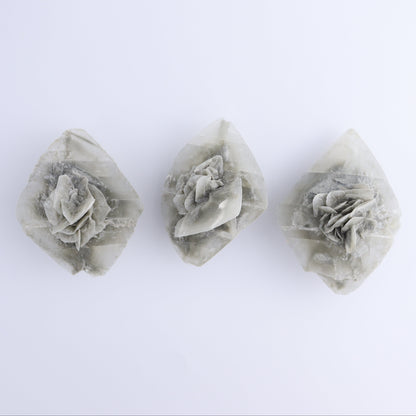 Selenite Clusters Set of 12 - Expert Wholesale and Supplier of Wholesale Crystals & Bulk Gemstones, ["Clusters","selenite"]