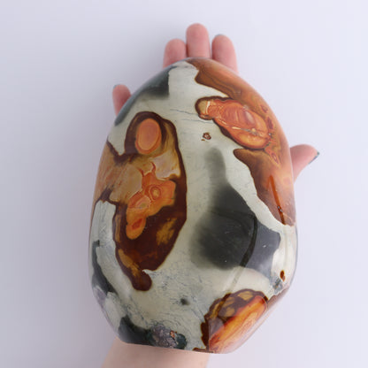 Polychrome Jasper - Expert Wholesale and Supplier of Wholesale Crystals & Bulk Gemstones, ["jasper","Madagascar","Polychrome Jasper"]