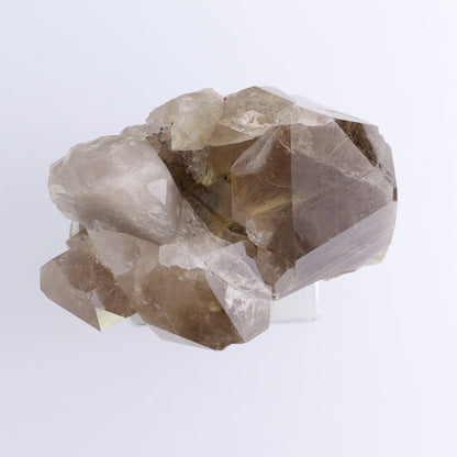 Smoky Quartz Cluster with Stand - Expert Wholesale and Supplier of Wholesale Crystals & Bulk Gemstones, ["cluster","Clusters","Quartz","Smoky Quartz"]