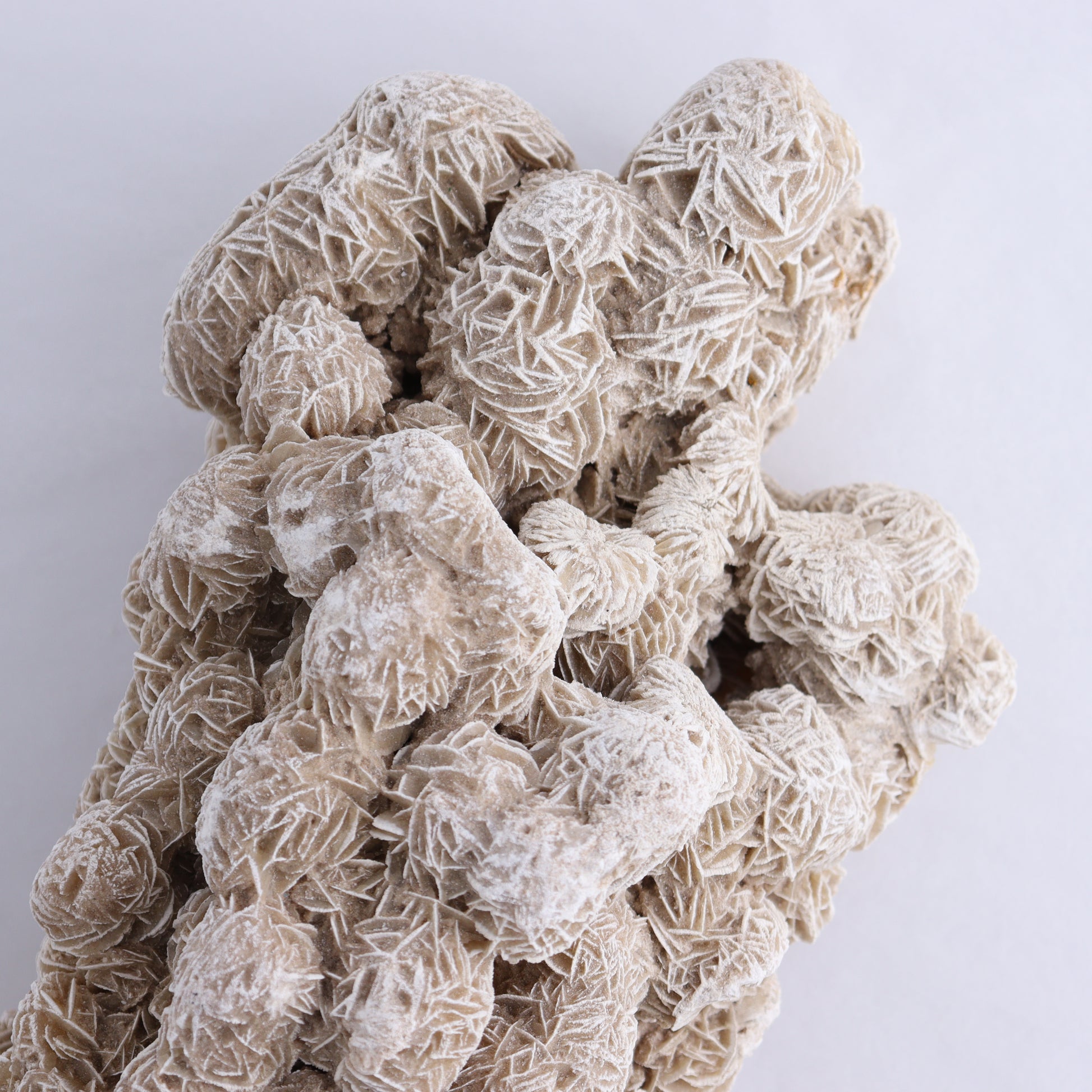 Desert Rose Cluster - Expert Wholesale and Supplier of Wholesale Crystals & Bulk Gemstones, ["Desert Rose","Freeforms"]