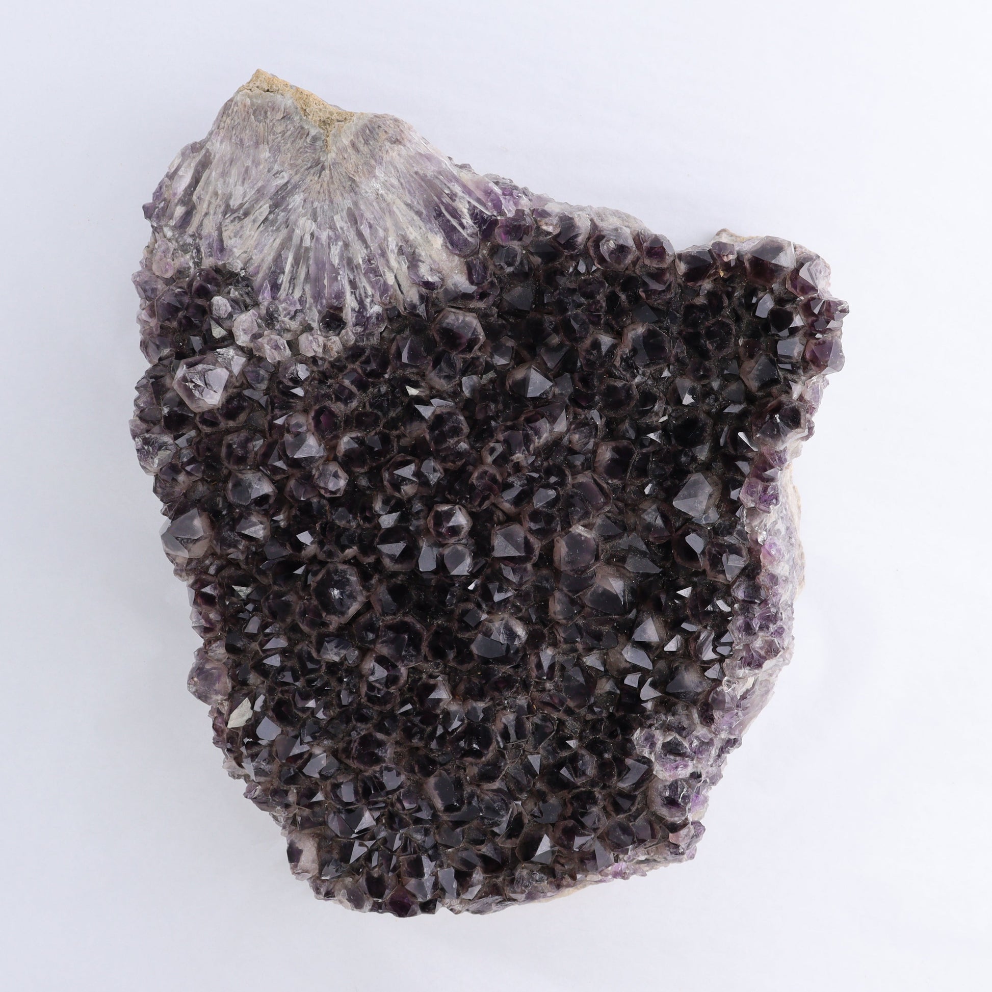 Amethyst Cluster - Expert Wholesale and Supplier of Wholesale Crystals & Bulk Gemstones, ["Amethyst","close_70","Clusters"]