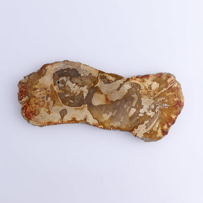 Petrified Wood Slices & Slabs Set of 4 - Expert Wholesale and Supplier of Wholesale Crystals & Bulk Gemstones, ["Freeforms","Indonesia","Petrified Wood","Slices and Slabs"]