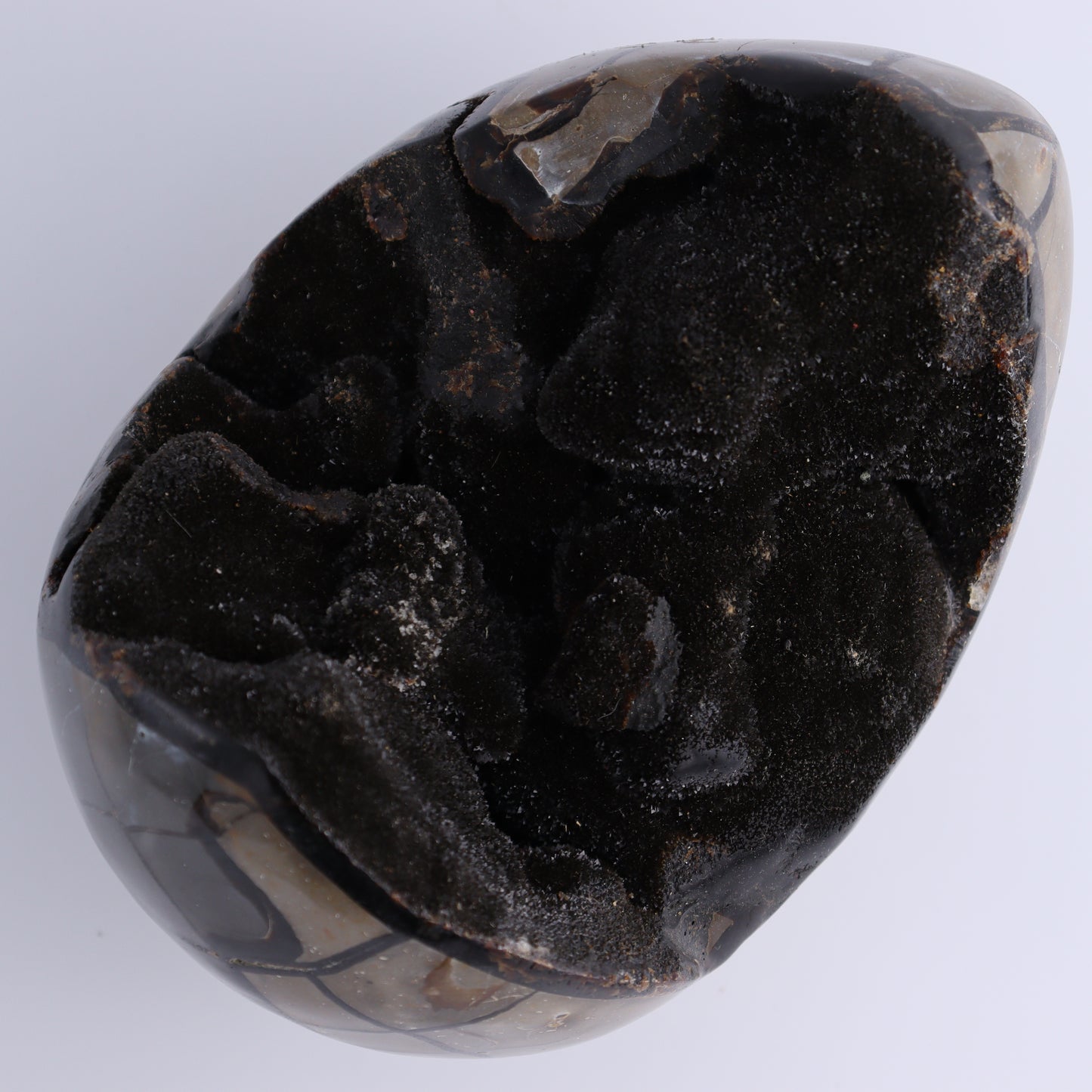 Septarian Egg - Expert Wholesale and Supplier of Wholesale Crystals & Bulk Gemstones, ["Eggs","Septarian"]