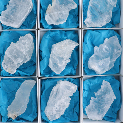 Selenite Set of 12 - Expert Wholesale and Supplier of Wholesale Crystals & Bulk Gemstones, ["Rough","selenite"]