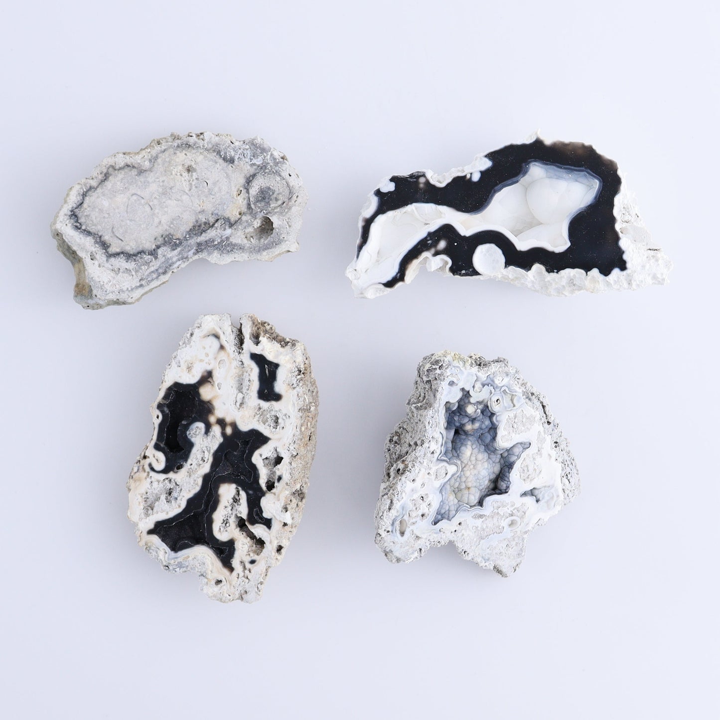 Agatized Coral Flat - Expert Wholesale and Supplier of Wholesale Crystals & Bulk Gemstones, ["Agate","Agatized Coral","Coral","United States"]