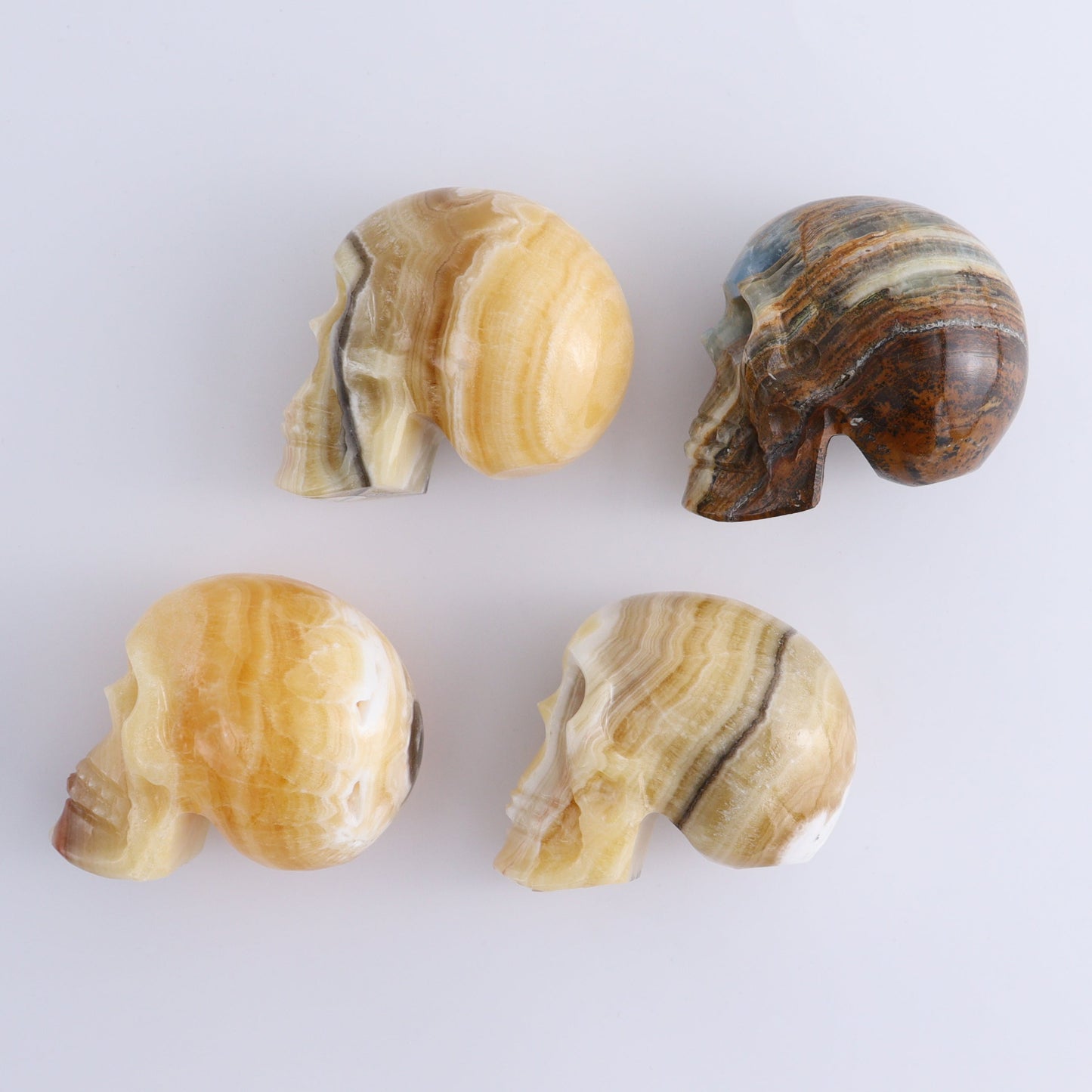 Onyx Skulls Set of 4 - Expert Wholesale and Supplier of Wholesale Crystals & Bulk Gemstones, ["Mexico","onyx","Skulls"]