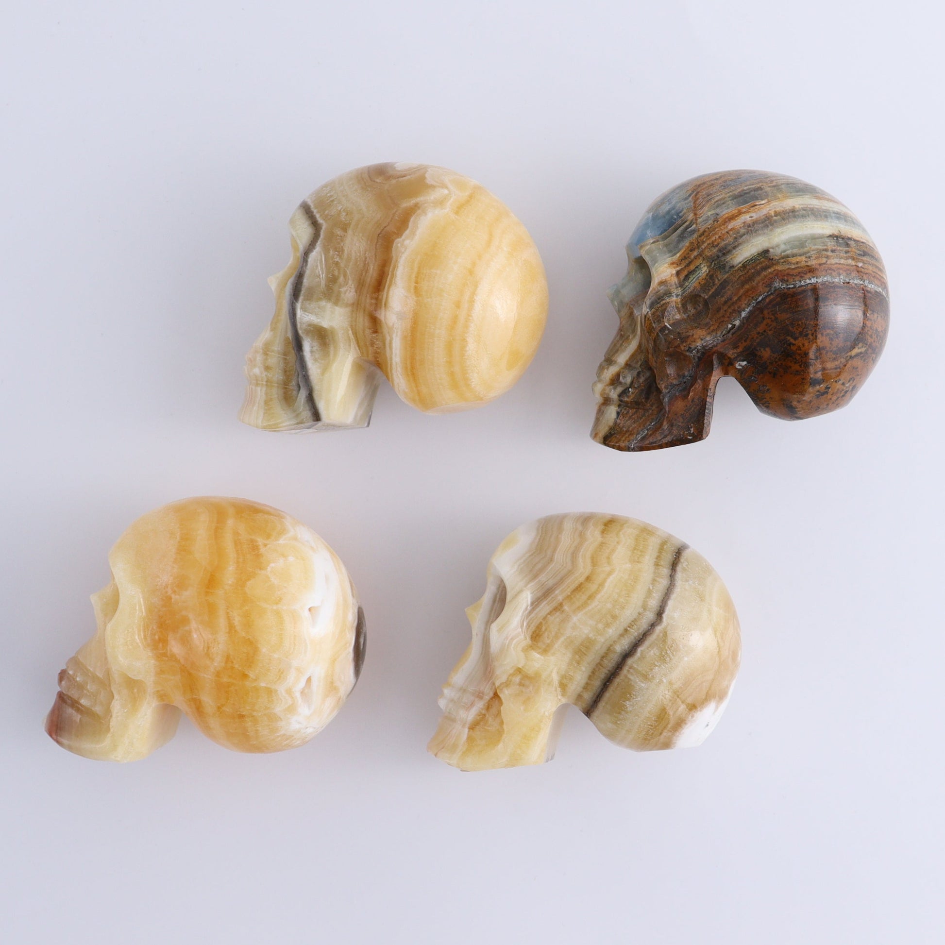 Onyx Skulls Set of 4 - Expert Wholesale and Supplier of Wholesale Crystals & Bulk Gemstones, ["Mexico","onyx","Skulls"]