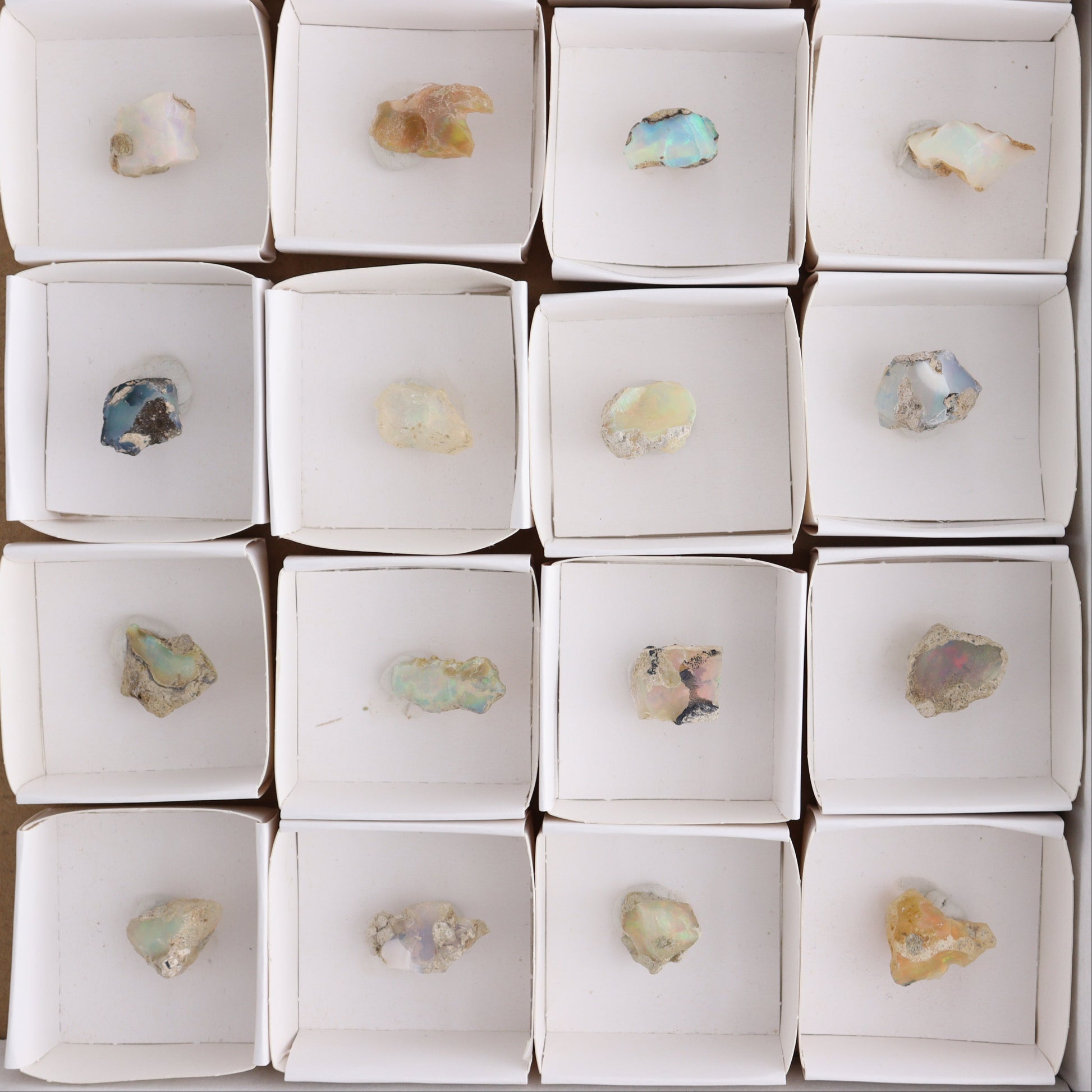 Ethiopian Opal Set of 24 - Expert Wholesale and Supplier of Wholesale Crystals & Bulk Gemstones, ["Ethiopia","ethiopian opal","Opal"]