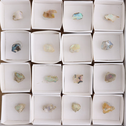 Ethiopian Opal Set of 24 - Expert Wholesale and Supplier of Wholesale Crystals & Bulk Gemstones, ["Ethiopia","ethiopian opal","Opal"]