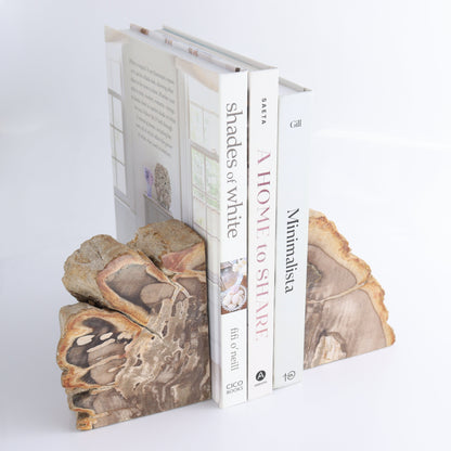 Bookends Petrified Wood - Expert Wholesale and Supplier of Wholesale Crystals & Bulk Gemstones, ["Bookends","Indonesia","Petrified Wood"]