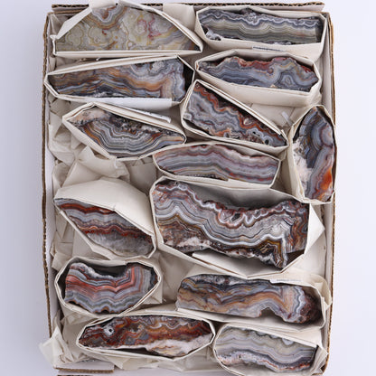 Crazy Lace Agate Flat of 14 - Expert Wholesale and Supplier of Wholesale Crystals & Bulk Gemstones, ["Crazy Lace Agate","Mexico"]