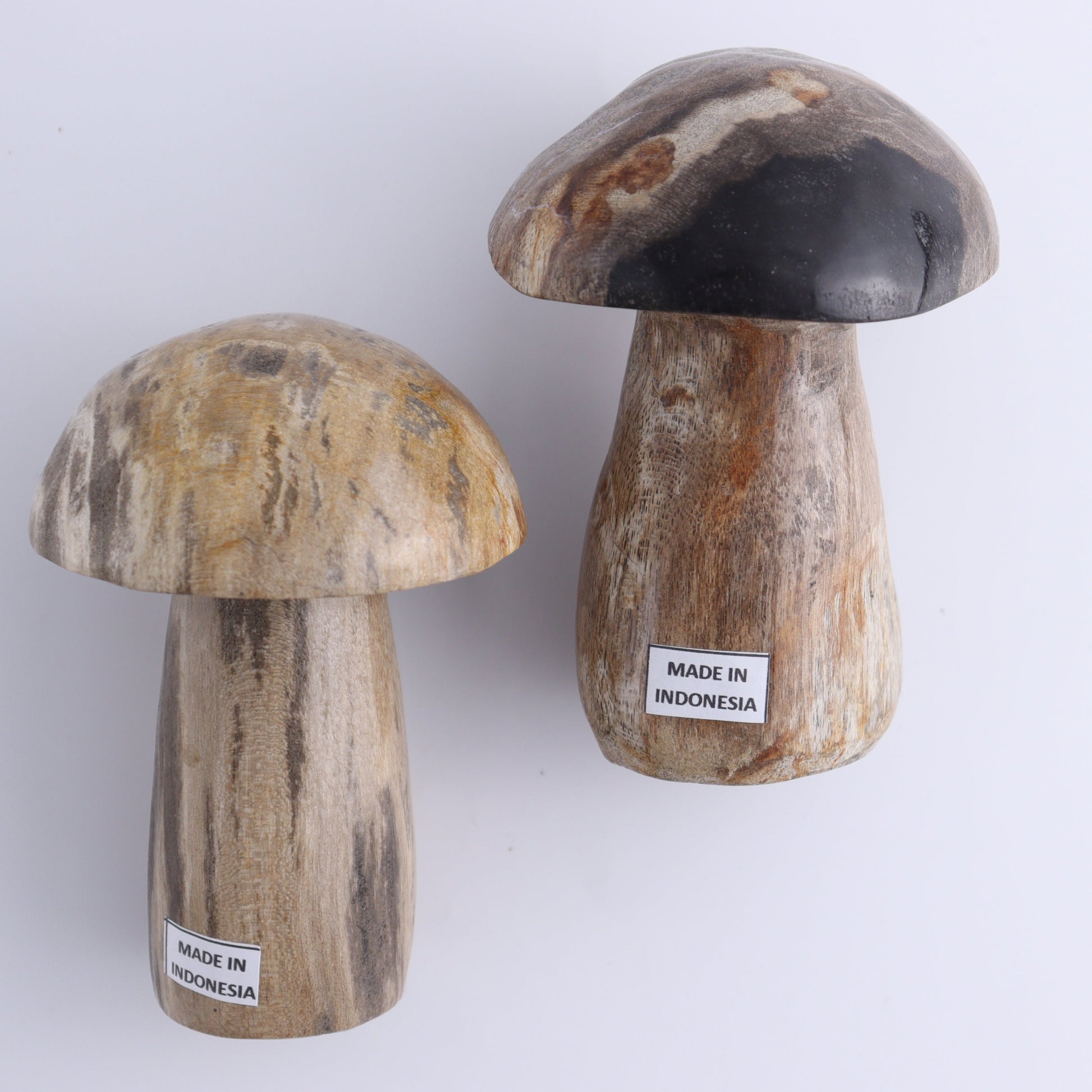 Petrified Wood Mushrooms Set of 4 - Expert Wholesale and Supplier of Wholesale Crystals & Bulk Gemstones, ["Indonesia","Mushrooms","Petrified Wood"]