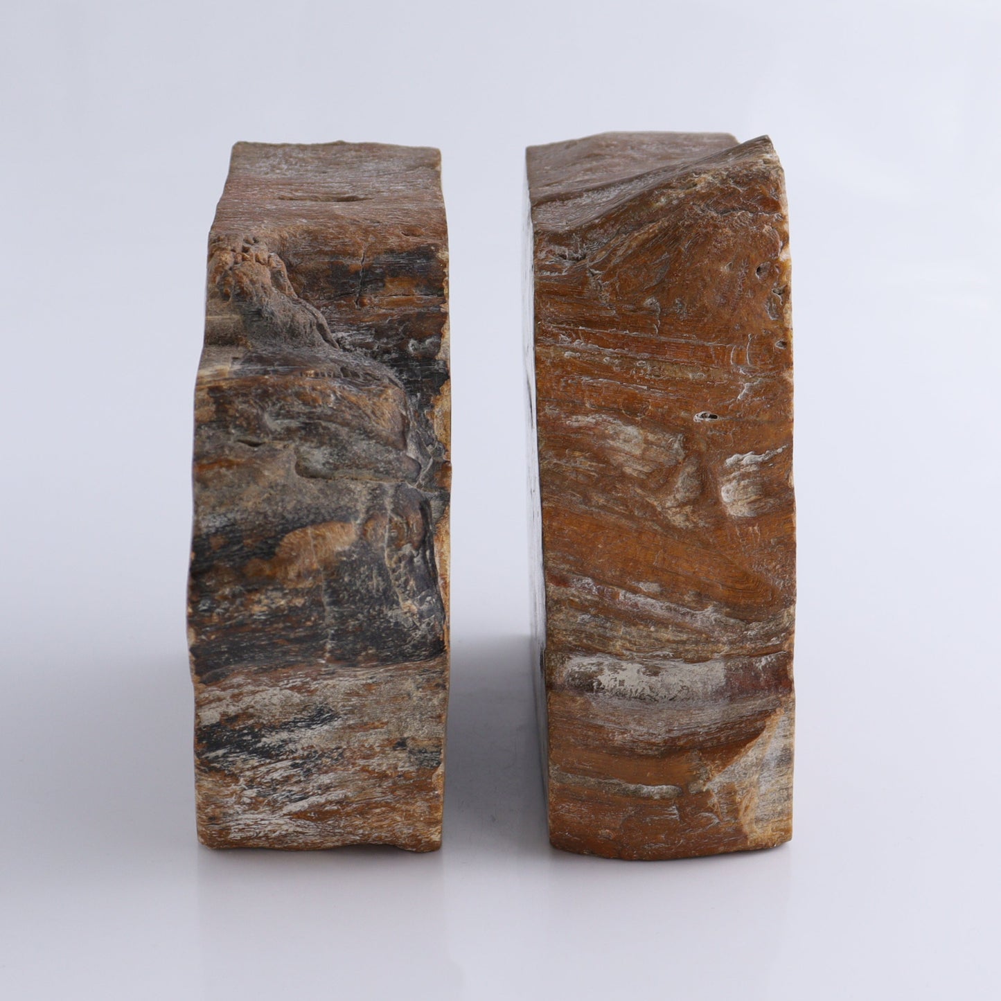 Bookends Petrified Wood - Expert Wholesale and Supplier of Wholesale Crystals & Bulk Gemstones, ["Bookends","Indonesia","Petrified Wood"]