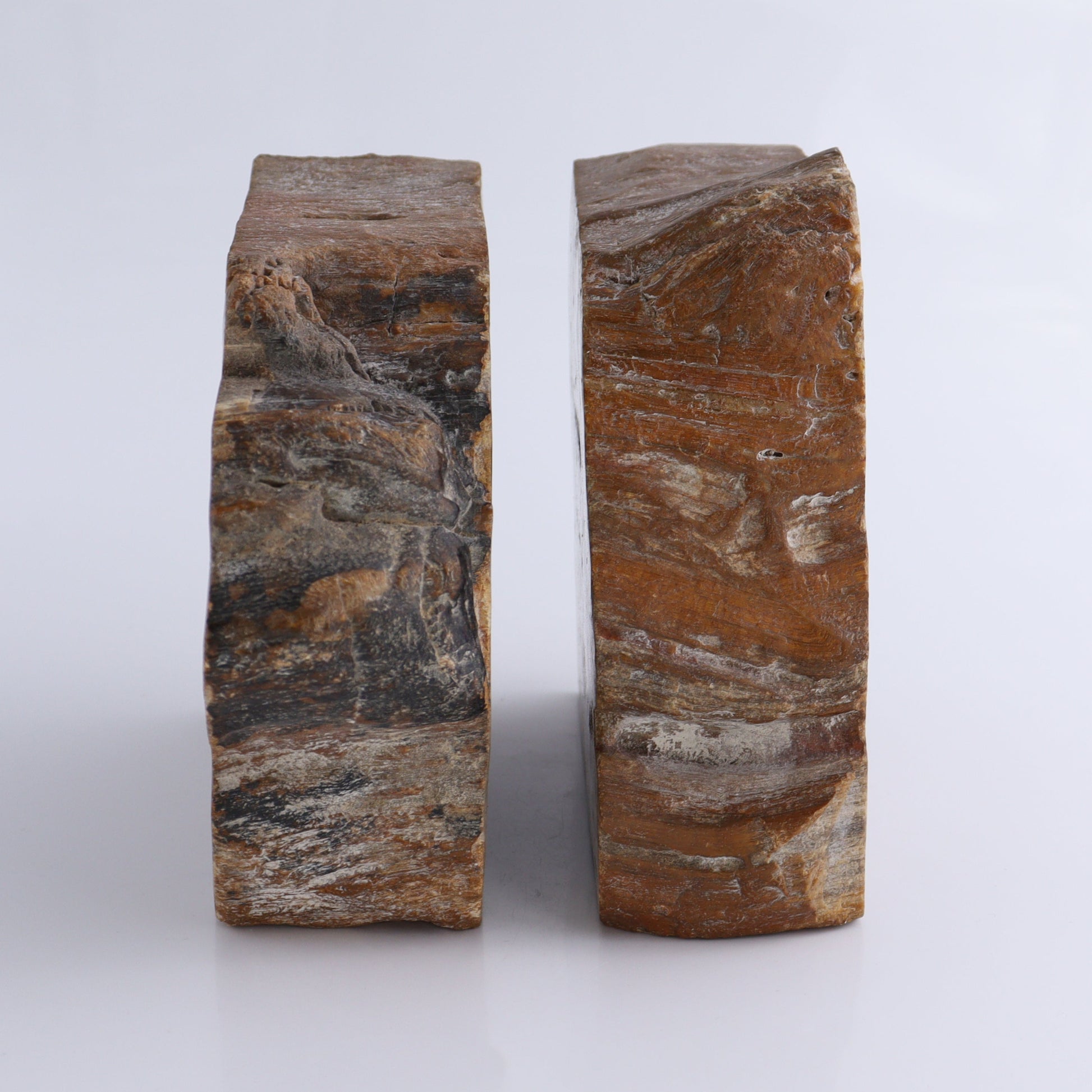 Bookends Petrified Wood - Expert Wholesale and Supplier of Wholesale Crystals & Bulk Gemstones, ["Bookends","Indonesia","Petrified Wood"]