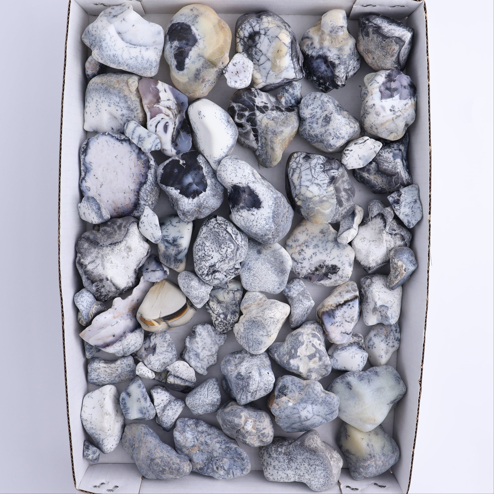 Denditic Agate Freeforms Flat - Expert Wholesale and Supplier of Wholesale Crystals & Bulk Gemstones, ["close_70","Denditic Agate","Freeform","Freeforms"]