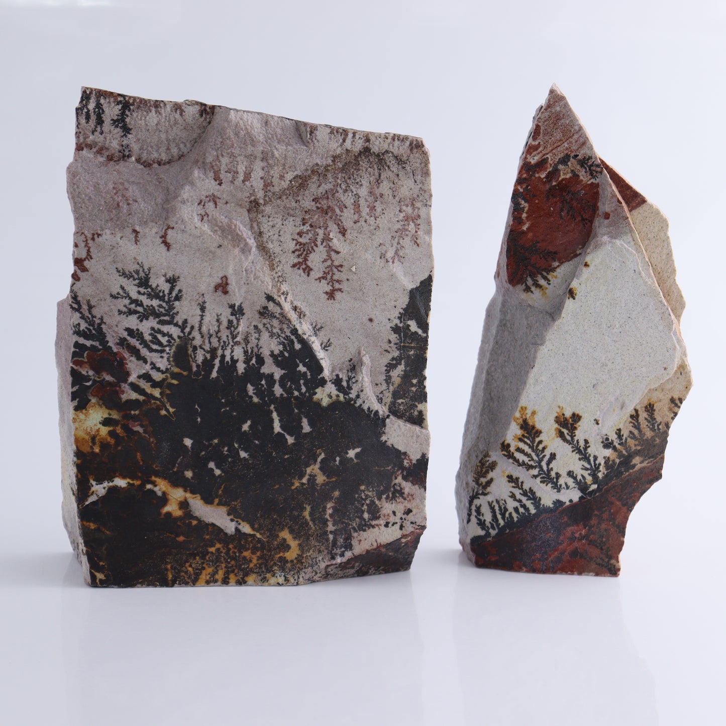 Dendrites Flat Set of 5 - Expert Wholesale and Supplier of Wholesale Crystals & Bulk Gemstones, ["Dendrite","Flats"]