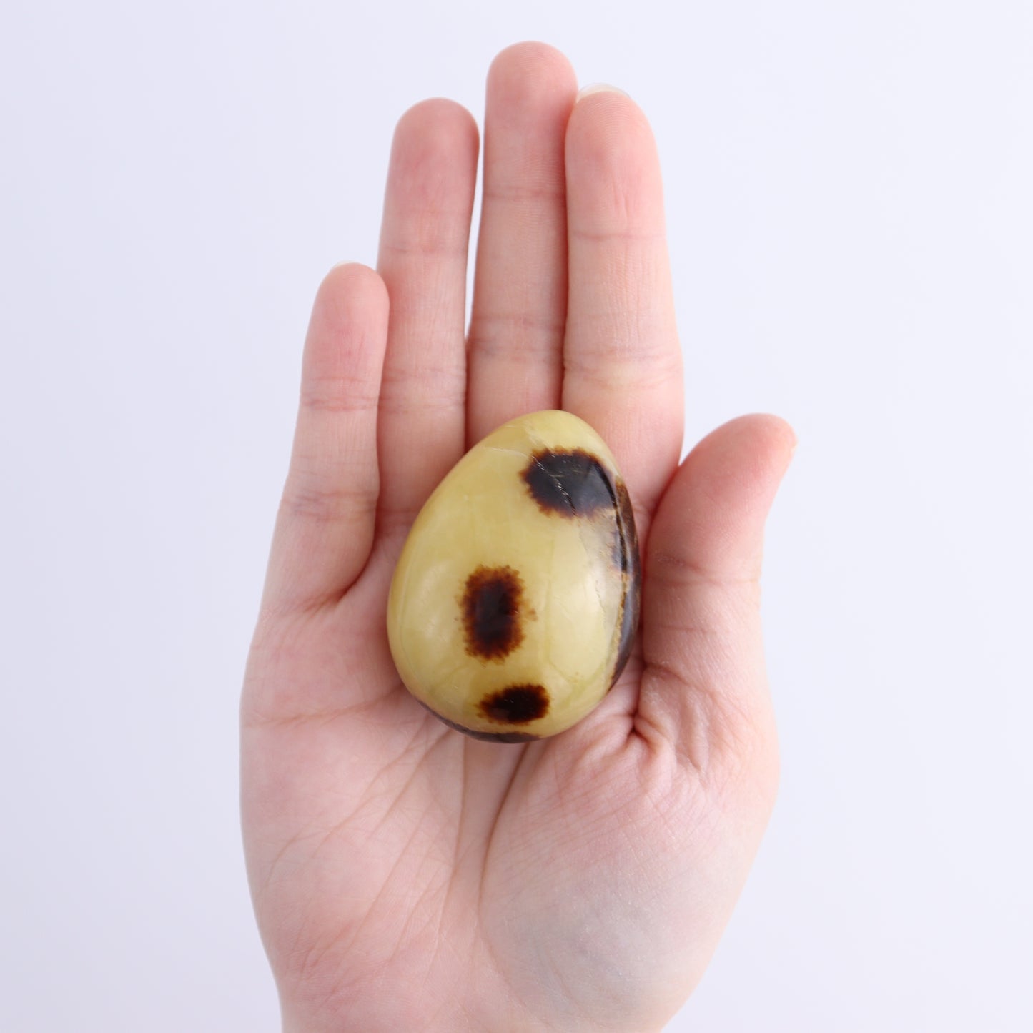 Septarian Eggs Set of 6 - Expert Wholesale and Supplier of Wholesale Crystals & Bulk Gemstones, ["Eggs","Madagascar","Septarian"]