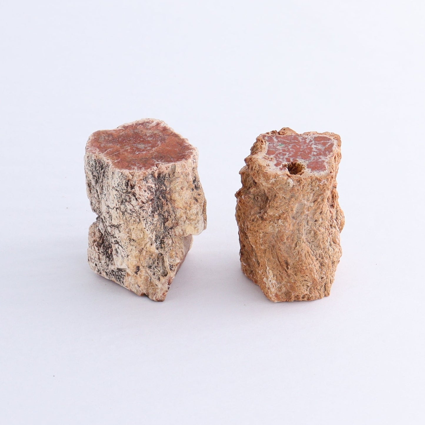 Petrified Wood Cut Bases Set of 10 - Expert Wholesale and Supplier of Wholesale Crystals & Bulk Gemstones, ["Cut Base","Petrified Wood"]