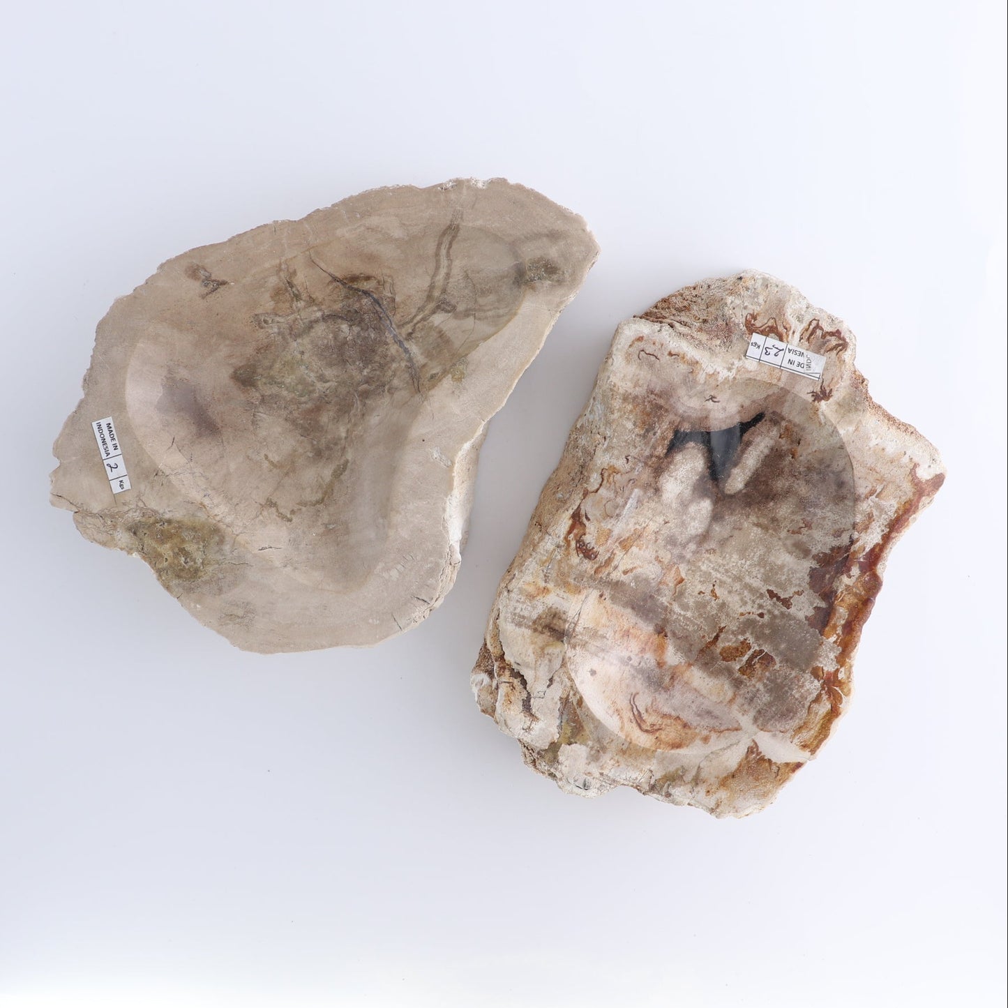 One Petrified Wood Beige Rough Bowl