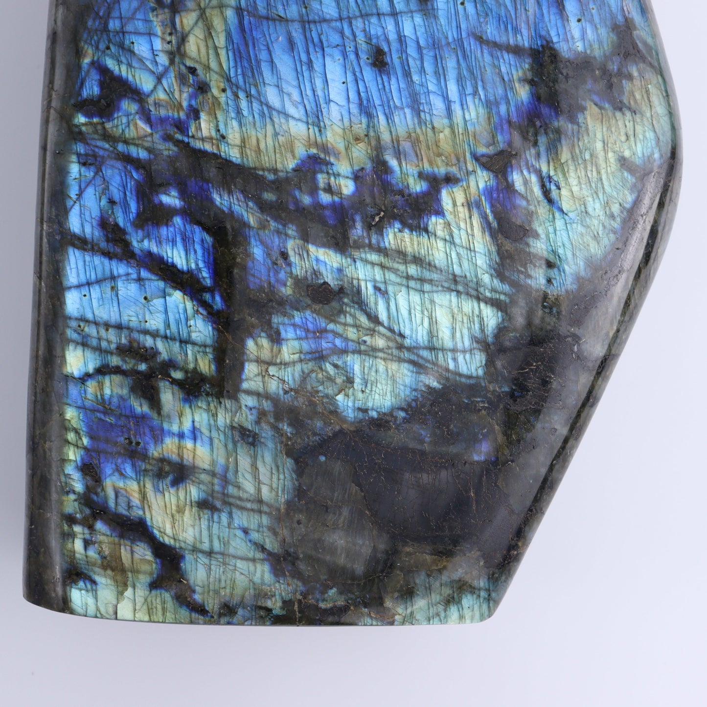Labradorite Freeform - Expert Wholesale and Supplier of Wholesale Crystals & Bulk Gemstones, ["close_70","Freeforms","Labradorite","Madagascar"]