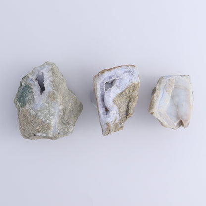 Blue Lace Agate Freeforms Set of 12