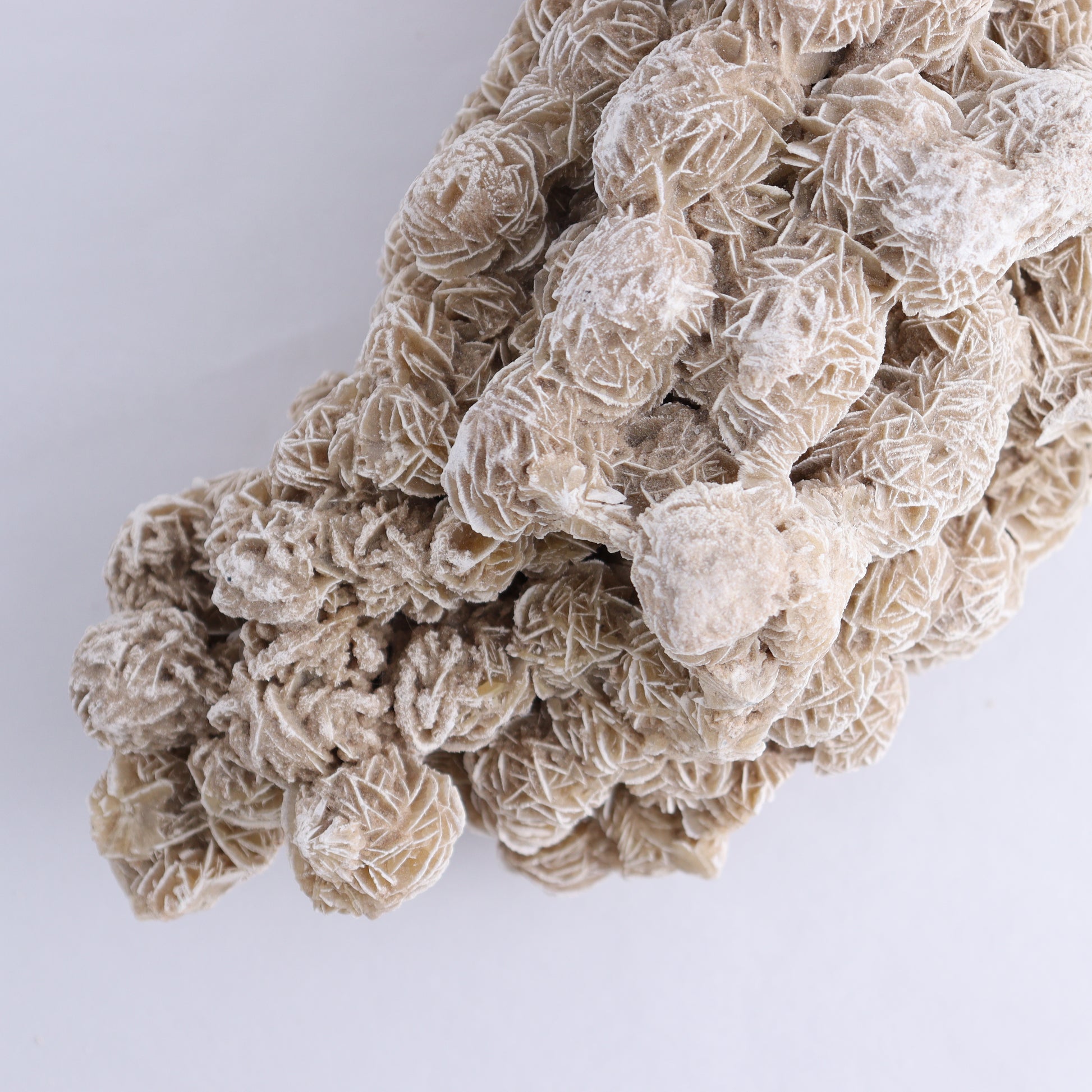 Desert Rose Cluster - Expert Wholesale and Supplier of Wholesale Crystals & Bulk Gemstones, ["Desert Rose","Freeforms"]