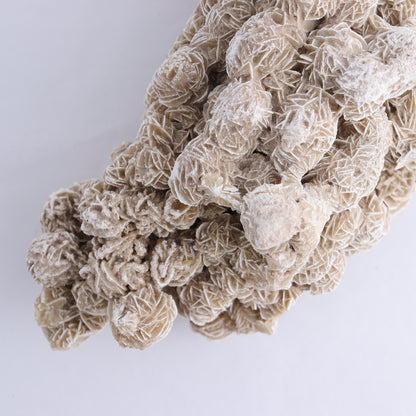 Desert Rose Cluster - Expert Wholesale and Supplier of Wholesale Crystals & Bulk Gemstones, ["Desert Rose","Freeforms"]