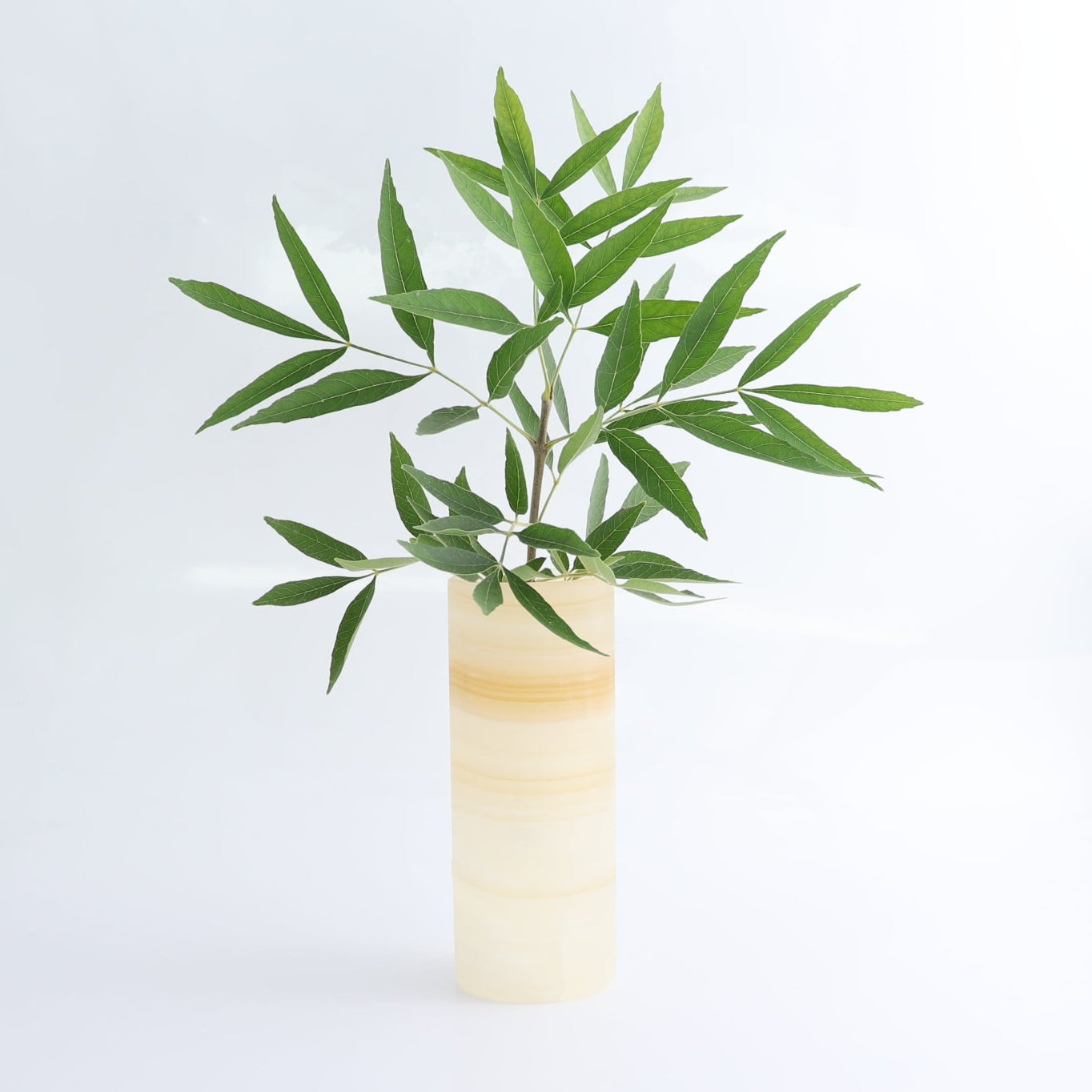One Small Flower Vase Mexican Onyx/Calcite Light Honey
