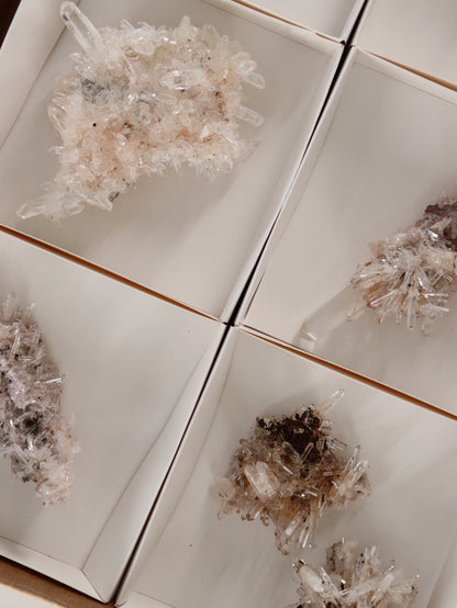 Lemurian Clusters Set of 8