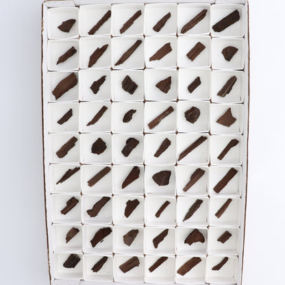 Permineralized Wood Flat of 54